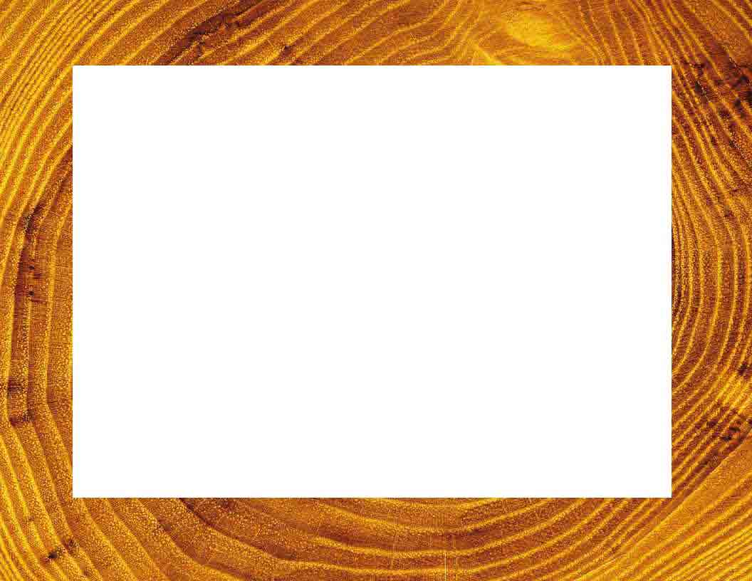 Rahmen f�r ein Tortenfoto 